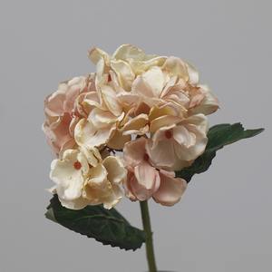 <span class=keywords><strong>Di</strong></span> alta qualità a stelo lungo <span class=keywords><strong>di</strong></span> seta artificiale <span class=keywords><strong>di</strong></span> ortensie Bouquet carbonizzato mazzo <span class=keywords><strong>di</strong></span> <span class=keywords><strong>fiori</strong></span> per le occasioni <span class=keywords><strong>di</strong></span> natale all'ingrosso - Product Image 1