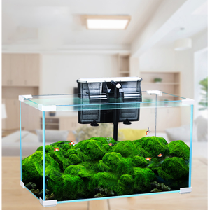 China Grote Fabriek Goede Prijs Ultra Wit Glas <span class=keywords><strong>Aquarium</strong></span> <span class=keywords><strong>Aquarium</strong></span>, Marine Sump <span class=keywords><strong>Aquarium</strong></span> & - Product Image 3