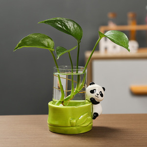 Maceta hidropónica de cerámica Ruijie Panda para plantas verdes como Pothos, decoración de escritorio de oficina. - Product Image 3