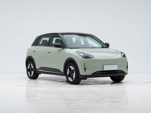 2026 Geely Star Wish Véhicules à énergie nouvelle 310KM Fabriqué en Chine Vente chaude <span class=keywords><strong>Mini</strong></span>-voiture <span class=keywords><strong>électrique</strong></span> familiale économique en stock à vendre Vert - Product Image 3