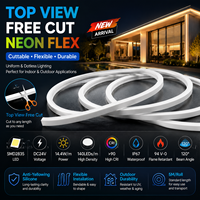 Bande néon découpable, design vue de dessus, 16*16MM, DC24V, SMD2835, 140 LED, IP67 étanche, anti-jaunissement, ignifuge 94 V-0
