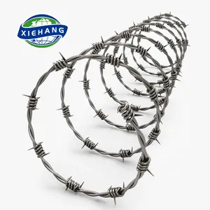 weight of 10kg barbed wire per meter length high quality wall spike security fenci airport and prison fence