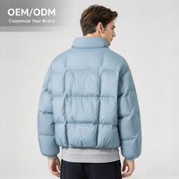 Veste d'hiver pour homme, coupe ample, col montant, duvet de canard blanc, imperméable, chaude