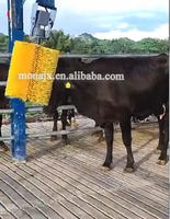 Vache bétail corps brosse vache Massage chatouiller Machine cheval brosses pour ensemble de toilettage