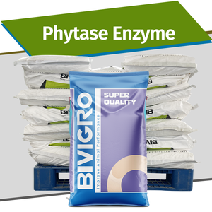 Nhà sản xuất cung cấp bột hạt <span class=keywords><strong>phytase</strong></span> thức ăn <span class=keywords><strong>enzyme</strong></span> chống chịu nhiệt cho thức ăn chăn nuôi giá cả cạnh tranh - Product Image 1