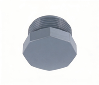Bouchon de tuyau hexagonal en PVC fileté, anti-fuite, pour systèmes de plomberie et de traitement de l'eau