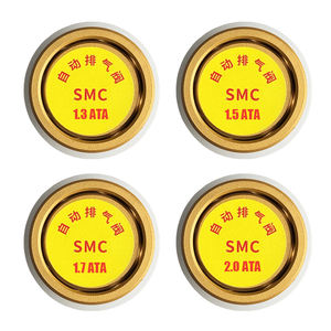 Chambre à oxygène hyperbare à micro-pression à usage domestique personnalisée Soupape de surpression automatique à prise rapide Soupape d'échappement manuelle - Product Image 2