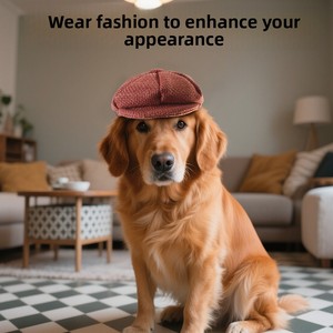 Boina Clásica Bordada Estilo Caballero para Perros y Gatos - Sombrero para Mascotas para Todas las Estaciones, Cumpleaños - Product Image 4