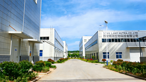 กัมมี่โปรไบโอติกเพื่อความงาม สูตร<span class=keywords><strong>ผิว</strong></span>กระจ่างใส ยี่ห้อ OEM รับผลิตแบรนด์ส่วนตัว ลดราคาพิเศษ มีหลายรูปแบบ - Product Image 6