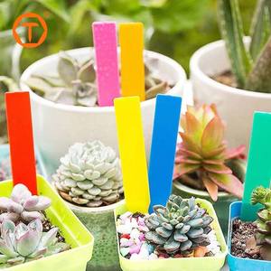 50 pezzi colorati ispessiti per piante da vivaio impermeabili con nome etichetta di piante in plastica da giardino - Product Image 1