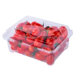 Cấp thực phẩm nhựa trái cây bao bì container cho cà chua 250 gram