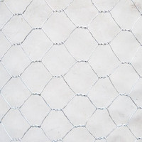 Grillage soudé pour élevage de volailles, cage à poulets, maille personnalisable, taille de maille disponible sur mesure