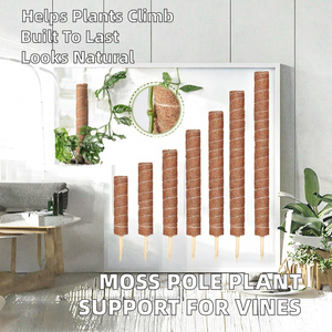 Varillas de Fibra de Coco Modernas para Plantas, Soporte de Musgo para Trepadoras, para Jardín e Invernadero, Tamaño 8mm, Fibra de Coco Cruda a Granel - Product Image 6