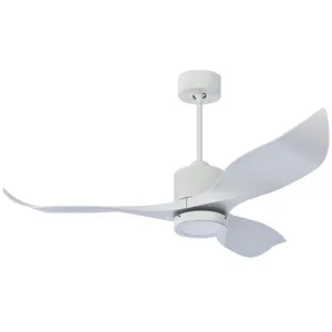 Shop Discount 52 Inch Luxury DC Brushless LED Ceiling Light Fan Low Price With Decoration Modern Home White ABS Blade