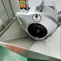 Hoge Efficiëntie Automatische Fruit Groente Aardappel Ui Chopper Snijmachine Voor Keuken Gebruik