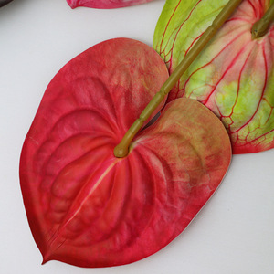 Fleurs d'Anthurium Artificielles Xinchengzhi 30cm-100cm en Caoutchouc Souple pour Décoration de Mariage et Composition Florale - Product Image 3