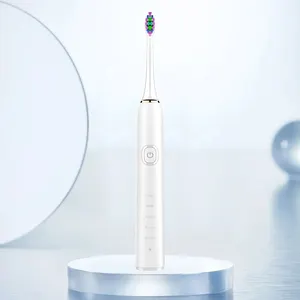 Baolijie Wholesale Sonic Tooth Brush Automatic Wireless Charging Rechargeable Ultrasonic Travel Electric Toothbrush