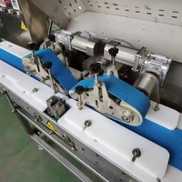 Máquina Cortadora de Filetes de Pescado y Pollo Industrial, Horizontal, Automática, para Cortar Carne en Rodajas