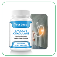 Service OEM Bactéries antioxydantes Bacillus Bactéries de qualité alimentaire Bacillus Coagulans