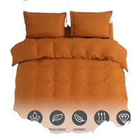 Ensemble de literie moderne King Size 4 pièces évacuant l'humidité Cool French Linen housse de couette