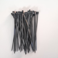 Bridas de nailon 66 autoblocantes con gancho y bucle para montaje con tornillo, organizador de cables electrónicos, peine para cables, uso en juguetes y horticultura, ecológico, ROHS