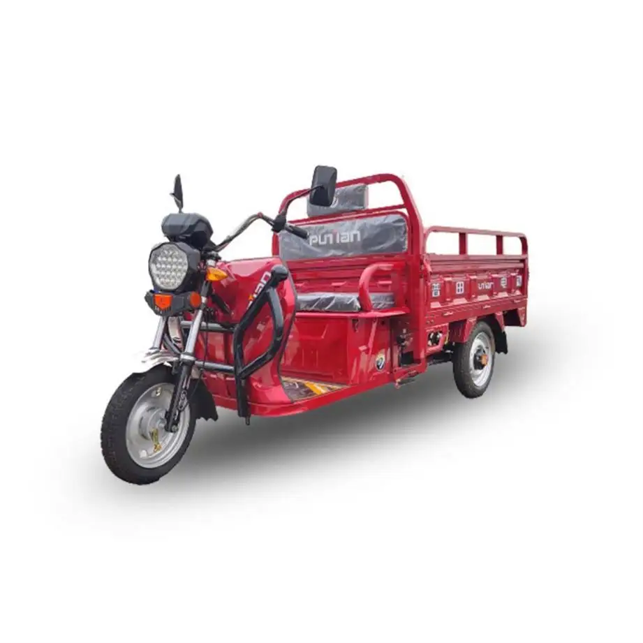 Cheap Price Drum Brake Electric Trike 250Cc Trike For Cargo