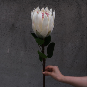 Fleurs artificielles en soie blanc laiteux imprimées en 3D, accessoires de photographie, décoration de mariage et de salle, vente en gros, style Instagram - Product Image 5