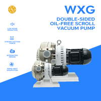 Bomba de Vacío de Desplazamiento Bilateral sin Aceite WXG-4B 4L/S, Libre de Mantenimiento, para Sistemas de Envasado de Alimentos