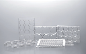 Piring budaya sel PS plastik medis steril kualitas tinggi 6 12 24 48 96 sumur piring budaya tisu TC - Product Image 2