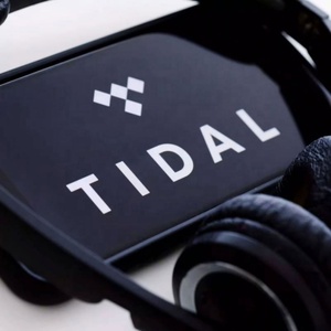 บัญชีสมาชิก Tidal Premium Tidal Music Tidal Hifi Plus ระยะเวลา 6 เดือน - Product Image 2