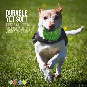 BPAフリーTPR犬用ボール非毒性レッドブルーイエローグリーンペットきしみ玩具積極的なチェワーゴムロープ用臼歯洗浄 - Product Image 2