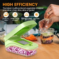 6 In 1 Roestvrijstalen Handmatige Multifunctionele Voedselsnijder Mini Keukengereedschap Snijden Fruit Uien Groenten Knoflook Citroenversnippering