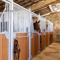 Stalle extérieure préfabriquée en acier enduit de poudre d'écuries de cheval de stalles de cheval de TLWY pour des chevaux