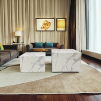 Moderne Simple MDF Bois Table Basse Intérieur Extérieur Salon Meubles En Métal pour Hôtels Restaurants Chambres En Gros