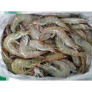 Popular Frozen Vannamei Shrimp Raw Head On Frozen Shrimp HOSO