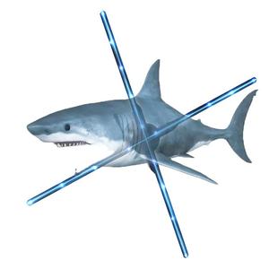 Bán Sỉ Quạt Led Hiển Thị Ảnh Toàn Ký 3D 42Cm 65Cm 72Cm 100Cm Quạt Led 3D Chiếu Ảnh Toàn Ký 3D - Product Image 5