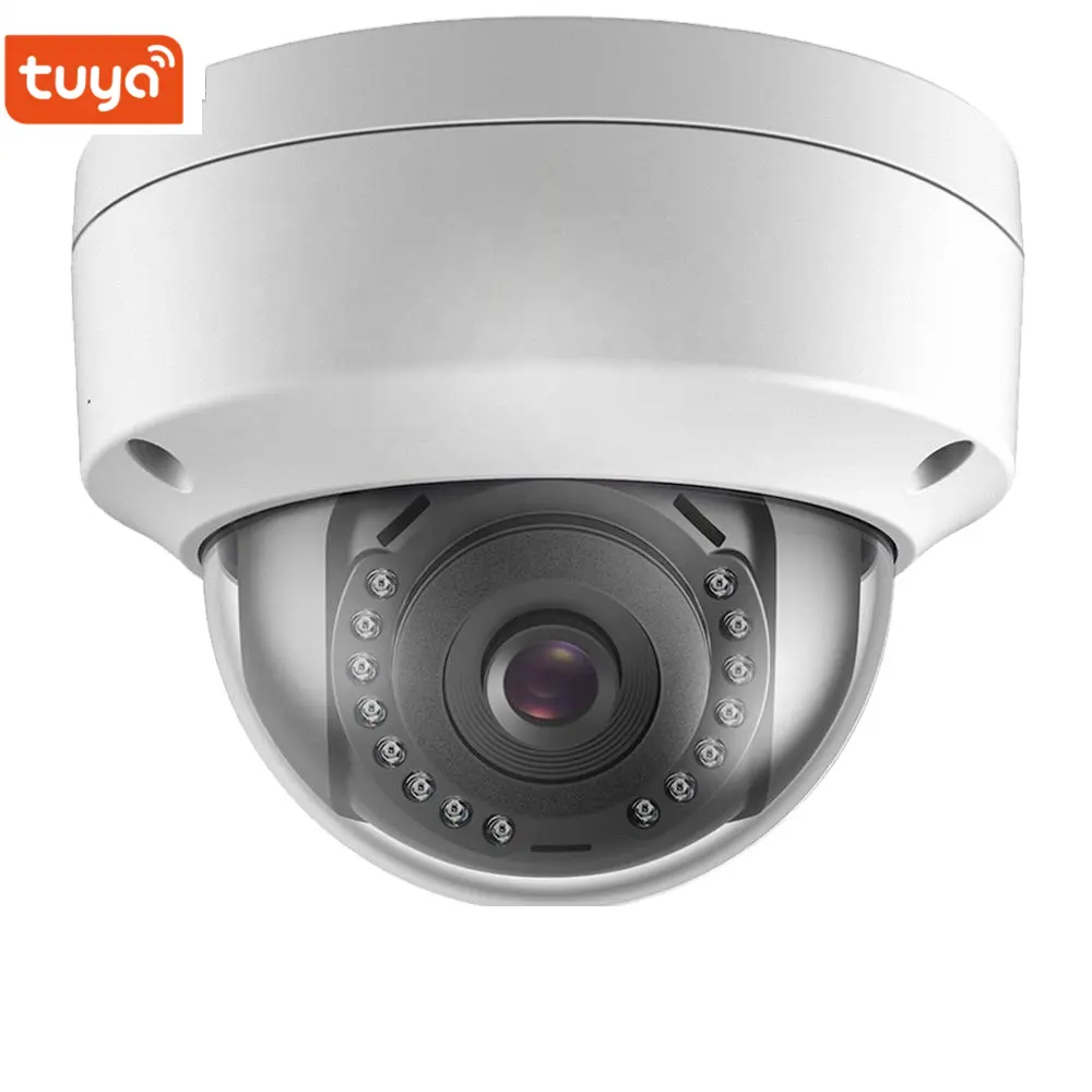 Tuya-cámara ip inalámbrica inteligente para exteriores, videocámara domo con wifi, impermeable, visión nocturna a color, cctv ir, 1080P