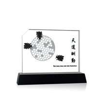 Plaque de récompense en cristal K9 sur mesure avec base noire, hauteur de 180 mm, forme rectangulaire polie, logo personnalisé
