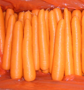Spécifications de <span class=keywords><strong>carotte</strong></span> fraîche en vrac Offre Spéciale de Chine - Product Image 3