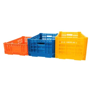 Wholesale Large Stackable Hygenic Folding Mesh Vented Collapsible Hdpe Plastic Fruit Tray Crates For Grapes