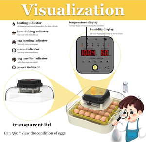 Trang Trại 30 Trứng Kích Thước Nhỏ Lồng Ấp Thiết Bị Với Nước Và Trứng Quay Điều Chỉnh Nhiệt Độ Thích Hợp Cho Vịt Ngỗng - Product Image 6