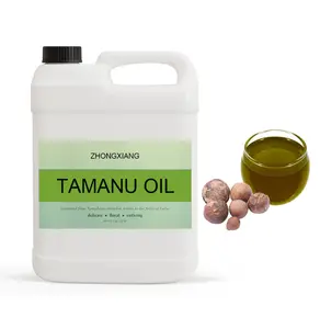 Tamanu Oil 100% Pure Cold Pressed Wholesale Price Bulk Supplier Premium Quality Top Grade Best Manufacturer Global Supplier
