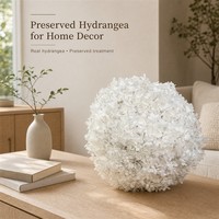 Hydrangeas préservés, fleurs naturelles stabilisées pour la décoration de la maison, des hôtels, des mariages et les décorations de fêtes