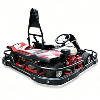 Karting commercial personnalisé, karting durable pour la location, karting de divertissement, karting à essence 200cc, karting de course 4 temps