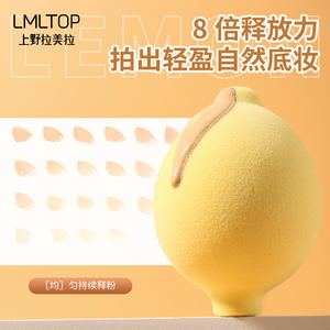 Éponge de maquillage LMLTOP Lemon, grande, hydrophile, avec étui de rangement en forme d'œuf pour application à l'eau A80277 - Product Image 5