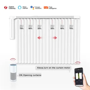 Raex Supplier Motorized System 1 Meter Dc 82 Home Quiet Wifi Dry Contact Smart Curtain Motor For Rod Pole