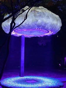 תאורת פטריות סיב אופטי RGB עם אפקט וילון מים ענן, עמיד למים לשימוש חיצוני, לקישוט גינה קסומה. - Product Image 5