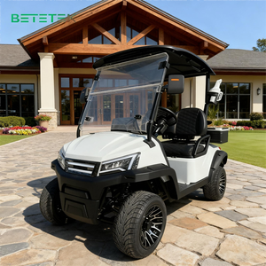 Véhicule électrique 2 places personnalisable - Buggy de chasse certifié CE GCC EEC pour routes non publiques - Product Image 1