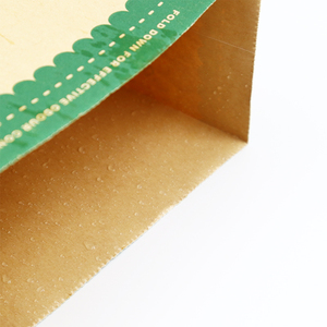 <span class=keywords><strong>Sac</strong></span> d'emballage alimentaire en papier <span class=keywords><strong>kraft</strong></span> biodégradable PLA Iiminate <span class=keywords><strong>sac</strong></span> en papier <span class=keywords><strong>kraft</strong></span> compostable anti-graisse légumes pain grillé - Product Image 5