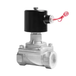 Hot sale works efficiently control sensitive AC220V stainless steel steam engine piston solenoid valve used for over steaming